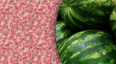 Csodálatos optikai illúzió: csak kevesen találnak 10 másodperc alatt egy különleges görögdinnyét.