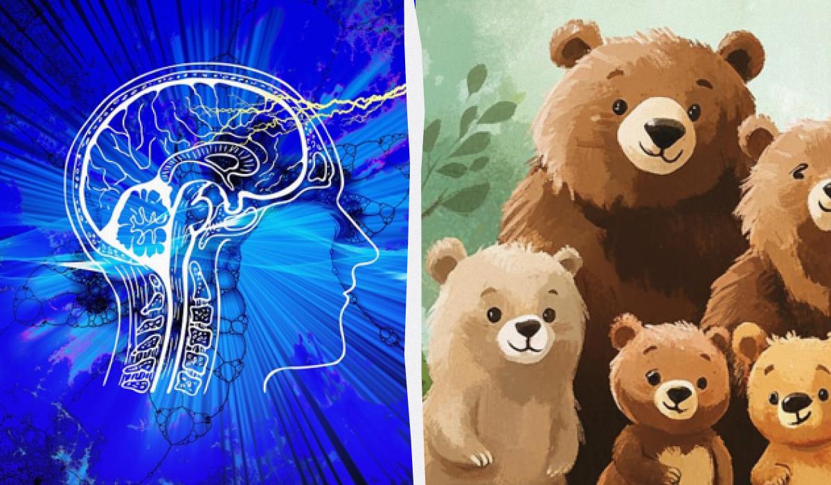 Egy hamis medve megtalálása 5 másodperc alatt: egy nagyon egyszerű IQ-teszt