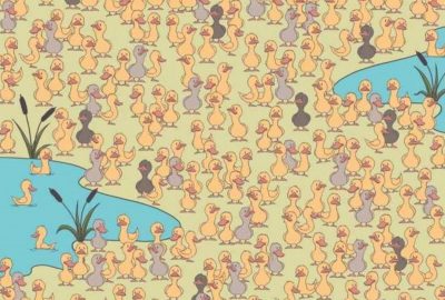 Egy kirakós játék a szórakozásért és a találékony: meg kell találnod egy csirkét 7 másodperc alatt.