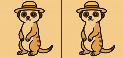 IQ-teszt: 49 másodperc alatt találj 3 különbséget egy kalapos földimalac képén.