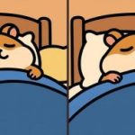 IQ teszt: találj 3 különbséget egy alvó hörcsög képén 29