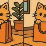 IQ teszt: találj 3 különbséget egy aranyos macska képén 45