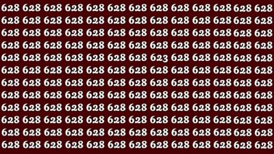 Rejtvény a szuperokosoknak: találd meg a 623-as számot mindössze 32 másodperc alatt!
